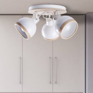 Stropné bodové svetlá Oval, okrúhle, 3-pl., biela