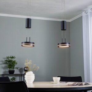 31748881-lindby-eilika-led-zavesne-svietidlo-2-pl-antracit.jpg Lindby Eilika LED závesné svietidlo 2-pl. antracit