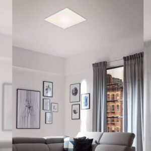 Stropné LED svetlo Link, stmieva, CCT, 29,5x29,5cm