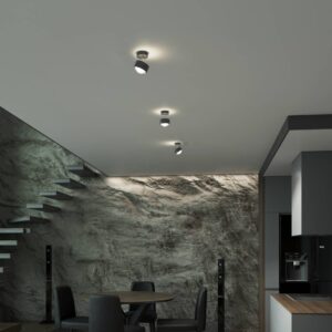 Puk! 80 Turn up/downlight šošovka matná antracit