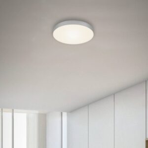 Stropné LED svietidlo Flame, Ø 21,2 cm, strieborná