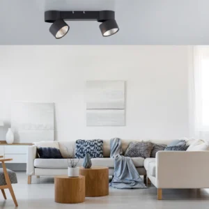 22220999-pure-nola-stropne-led-svetlo-2-plamenove-cierna.webp PURE Nola stropné LED svetlo 2-plameňové čierna